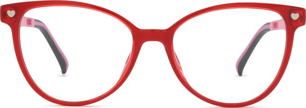 Active Clip on F 0500 46 021 000 46 (sluneční klip)