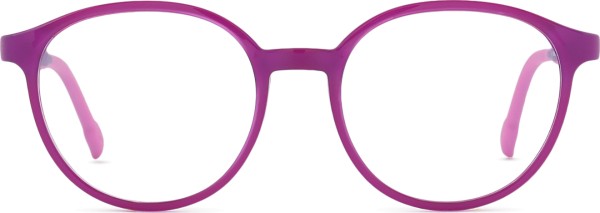 Active Clip on F 0653 49 162 000 F 49 (sluneční klip)