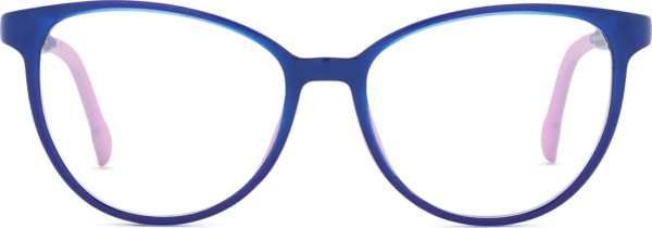 Active Clip on F 0654 48 074 000 F 48 (sluneční klip)