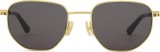 Bottega Veneta BV1301S 005 52 45653