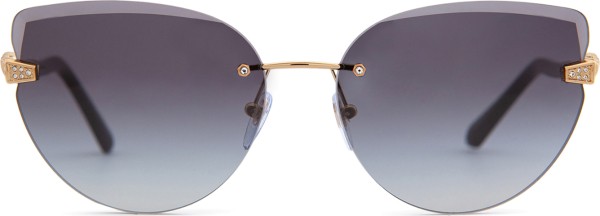 Bvlgari BV6172B 20148G 62