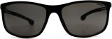 Carrera 4013/S 807 M9 62 9296