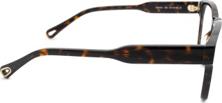 Chloé CH0161O 002 18 51 24964