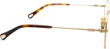 Chloé CH0180O 005 17 54 24976