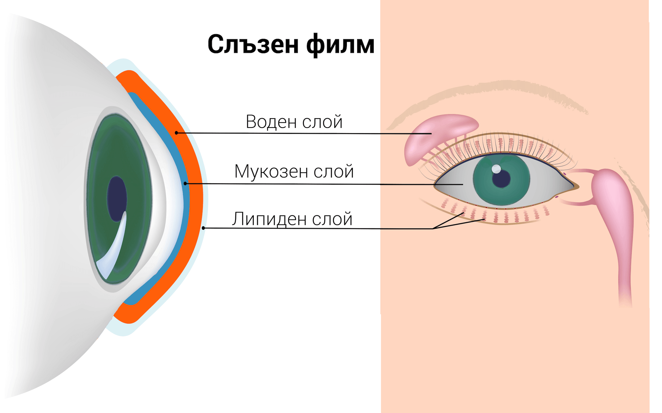Слъзен филм
