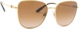 Dolce & Gabbana 0DG 2293 02/13 56 25907