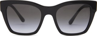 Dolce & Gabbana 0DG 4384 501/8G 53 18643
