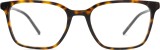 Dolce & Gabbana 0DG3365 502 21699