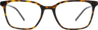 Dolce & Gabbana 0DG3365 502 21699