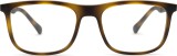 Emporio Armani 0EA3170 5089 13499
