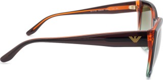 Emporio Armani EA 4198 59898E 55 25899