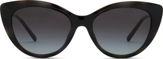Emporio Armani EA 4213U 50171W 53 (sluneční klip) 36744