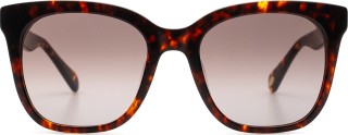 Fossil FOS2098/G/S 086 HA 53 15423
