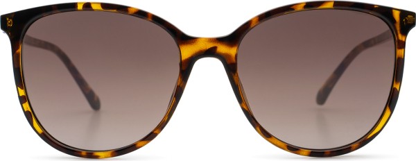 Fossil FOS3099/S 086 HA 55