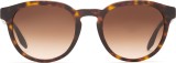 Giorgio Armani AR8115 508913 52 3833