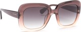 Hawkers Bronze Butterfly 4048