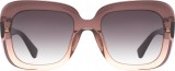 Hawkers Bronze Butterfly 4047