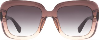 Hawkers Bronze Butterfly 4047