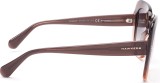 Hawkers Bronze Butterfly 4048