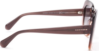 Hawkers Bronze Butterfly 4048