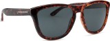 Hawkers Carey Dark One 10064