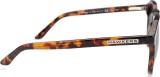Hawkers Carey Dark Warwick X 14518