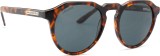 Hawkers Carey Dark Warwick X 14518