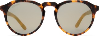Hawkers Carey Vegas Gold Warwick X 4075