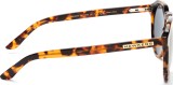 Hawkers Carey Vegas Gold Warwick X 4076