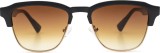 Hawkers New Classic Brown 14525
