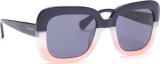 Hawkers Tricolor Butterfly 4054