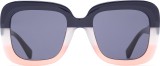 Hawkers Tricolor Butterfly 4053