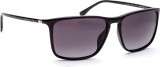Hugo Boss 0665/S D28/HD 57 557