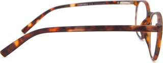 I Need You Reading Junior New Tortoise 20927