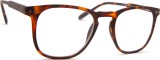 I Need You Reading Tailor Tortoise 20933