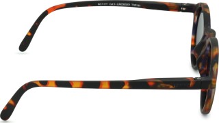 Izipizi Sun Junior #D Tortoise (pro věk 7 - 11 let)