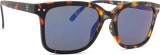 Izipizi Sun #L Tortoise 26351