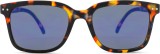 Izipizi Sun #L Tortoise 26350