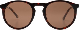 Lentiamo Jiri Havana Brown 18961