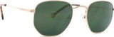 Lentiamo Lefteris Light Gold/P 22962