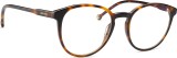 Lentiamo Sandro Havana Brown 19026