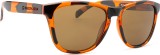 Northweek Regular Tortoise 14836