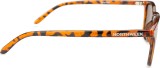 Northweek Wall Tortoise 14846