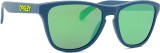 Oakley Frogskins XS OJ 9006 32 53 17939