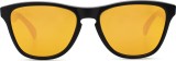 Oakley Frogskins XS OJ 900617 53 12984