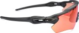 Oakley Radar EV Path OO 9208 90 38 13856