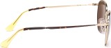 Persol PO2445S 107557 52 1519