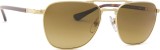 Persol PO2494S 1142M2 55 19846