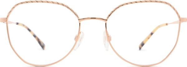 Pierre Cardin P.C. 8868 DDB 18 53