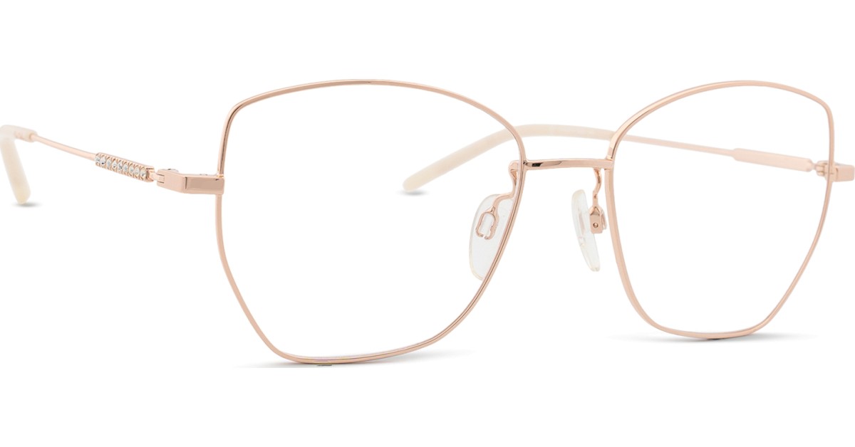 Pierre Cardin P.C. 8876 DDB 17 53